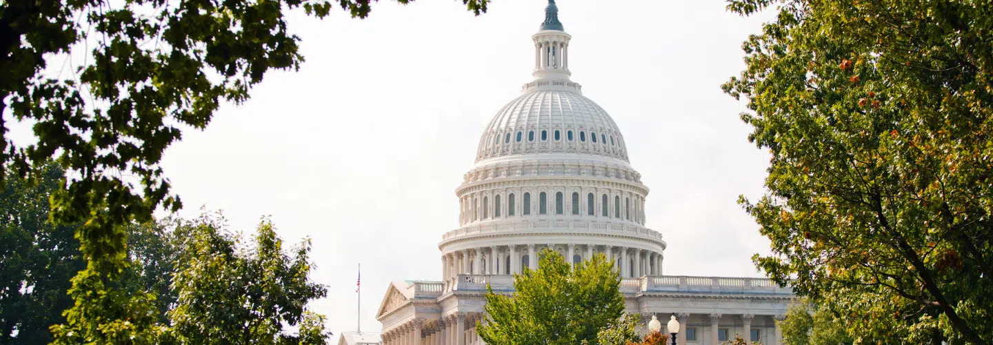 Capital Building | Rea Business Advisors