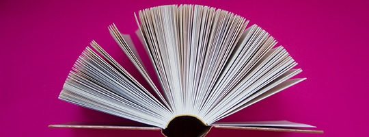 Putting Board Governance & Policies In Perspective