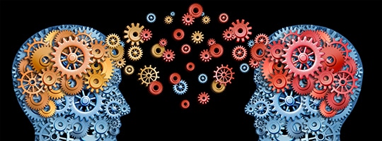 Knowledge Transfer