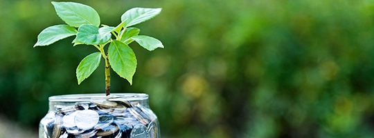 Your Policy For Investing In Continued Nonprofit Success