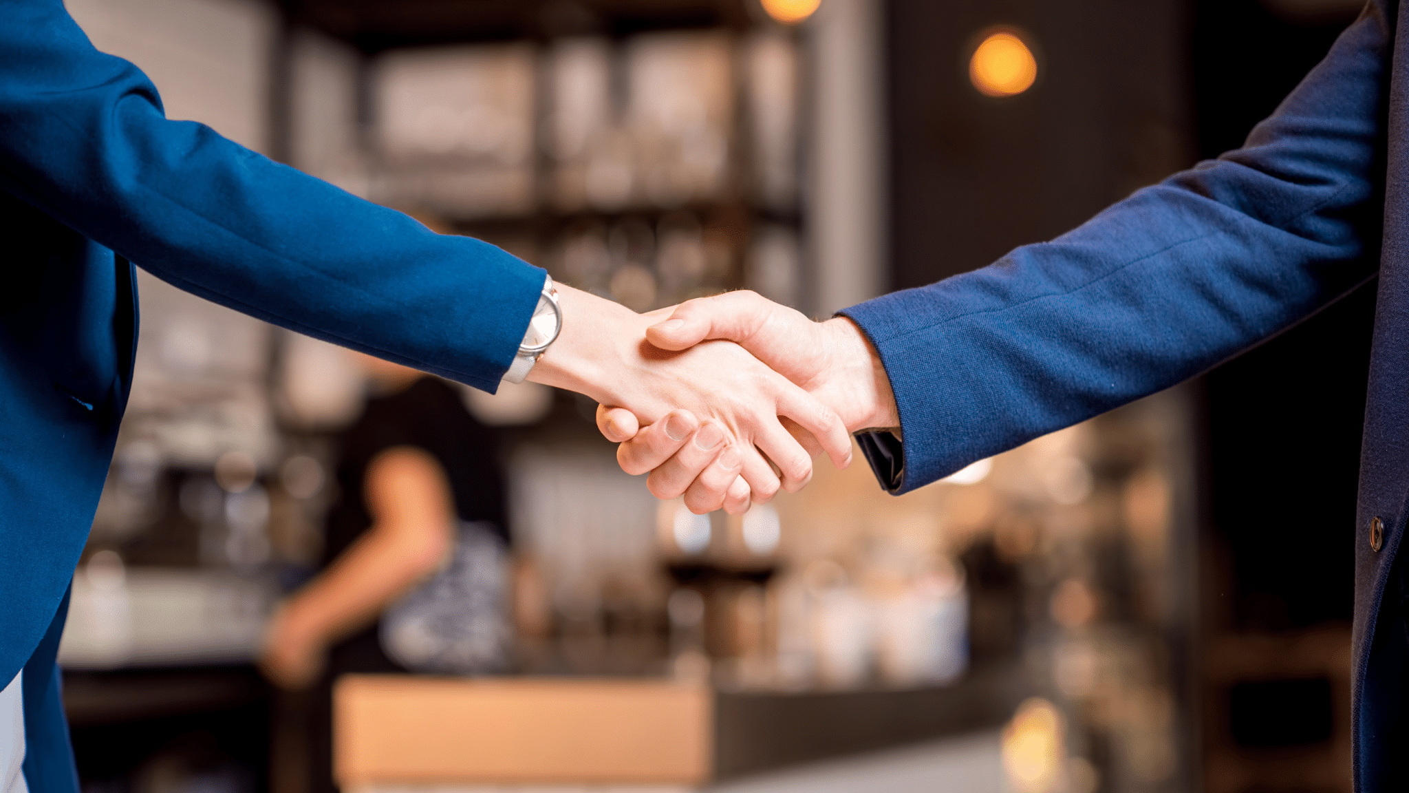 Two Business Professionals Shaking Hands