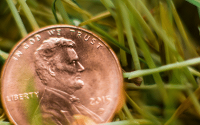 The Penny Is Gone. But the Tax Questions Aren’t.