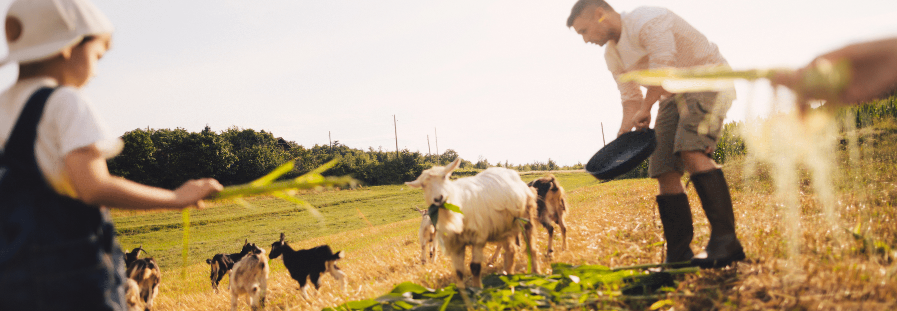 family helping on a farm
